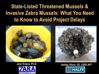 State-Listed Threatened Mussels &amp; Invasive Zebra Mussels: What You Need to Know to Avoid Project Delays