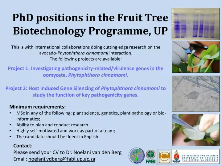 phd positions in the fruit tree biotechnology programme up