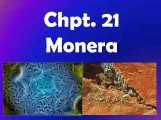 Chpt. 21 Monera