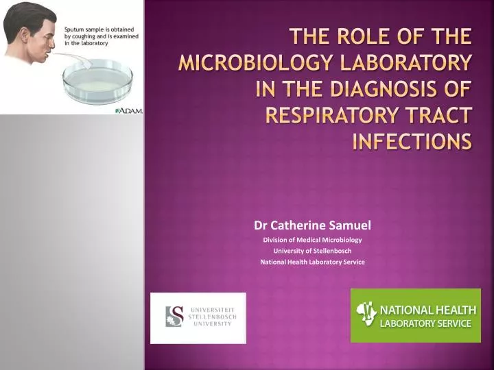 the role of the microbiology laboratory in the diagnosis of respiratory tract infections