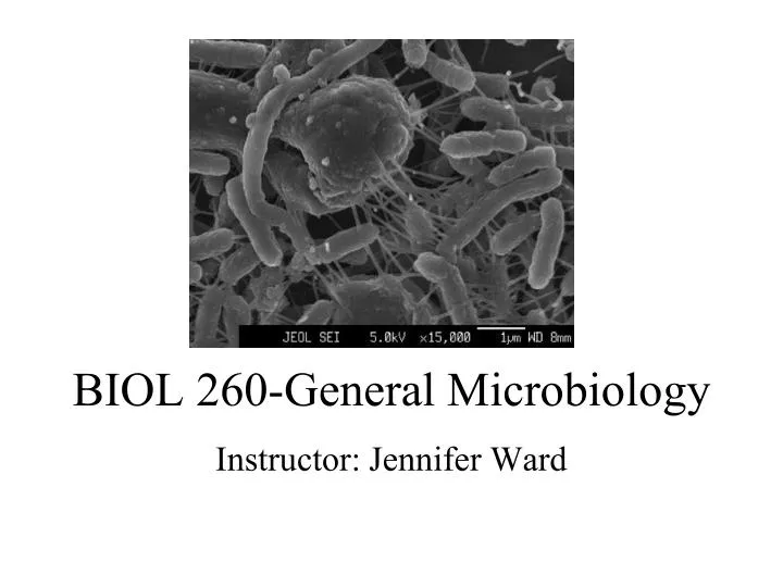 biol 260 general microbiology