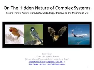 On The Hidden Nature of Complex Systems Macro Trends, Architecture , Nets, Grids, Bugs, Brains, and the Meaning of Life
