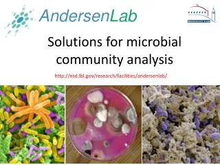 Solutions for microbial community analysis