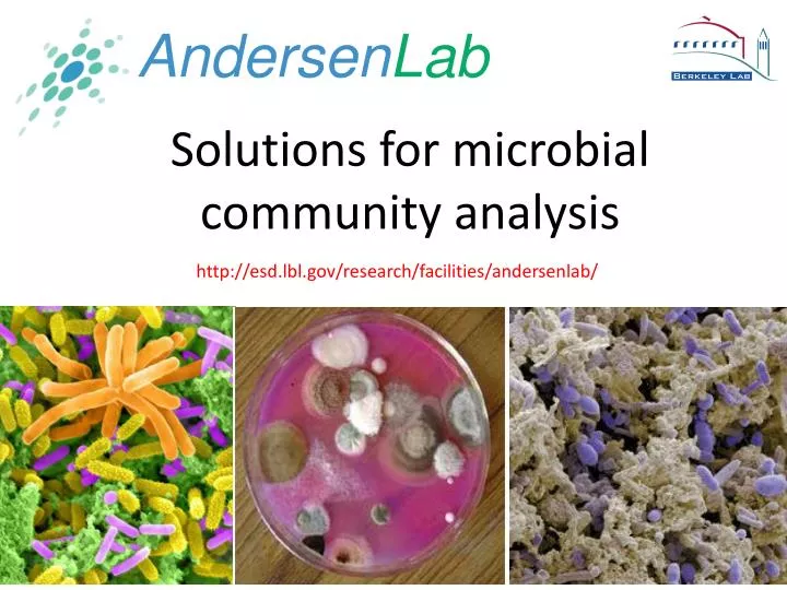 solutions for microbial community analysis