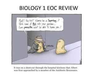 BIOLOGY 1 EOC REVIEW