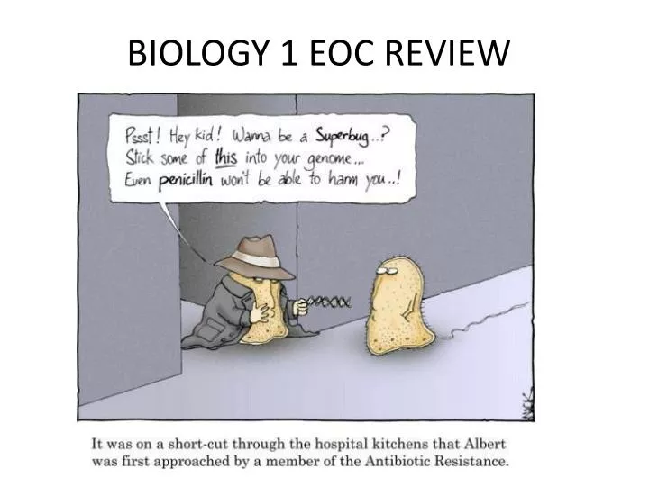 biology 1 eoc review