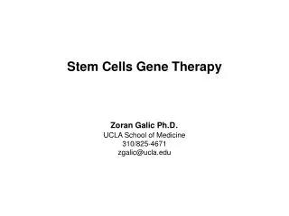 Stem Cells Gene Therapy Zoran Galic Ph.D . UCLA School of Medicine 310/825-4671 zgalic@ucla.edu