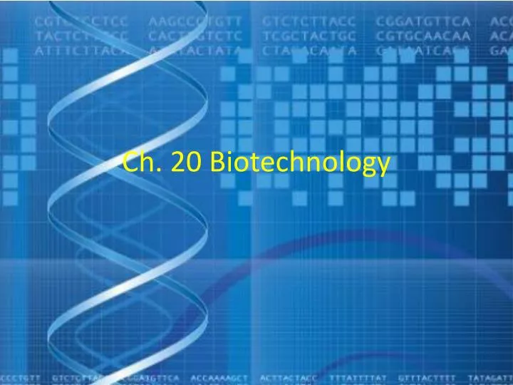 ch 20 biotechnology