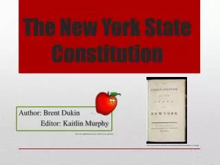 The New York State Constitution