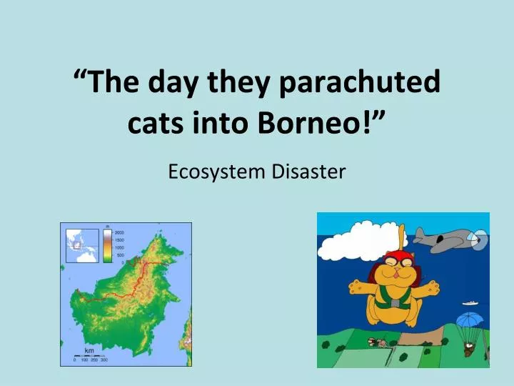 the day they parachuted cats into borneo