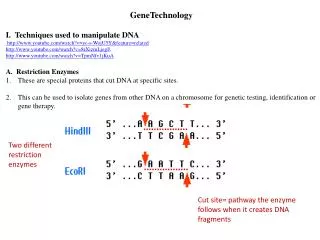 GeneTechnolog y I. Techniques used to manipulate DNA  http://www.youtube.com/watch?v=yc-s-WojU5Y&amp;feature=related ht
