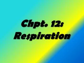 Chpt. 12: Respiration