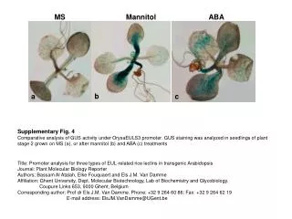 Mannitol