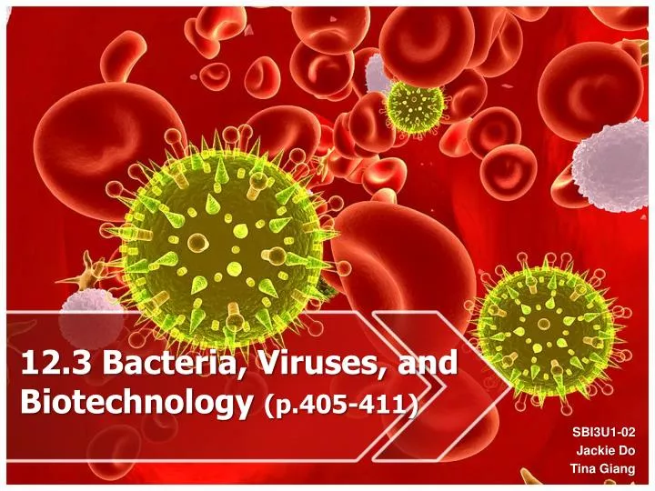 12 3 bacteria viruses and biotechnology p 405 411