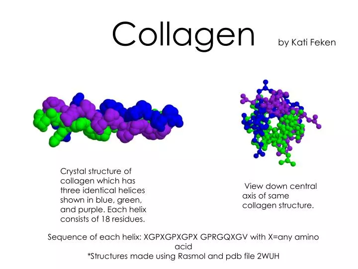 collagen by kati feken