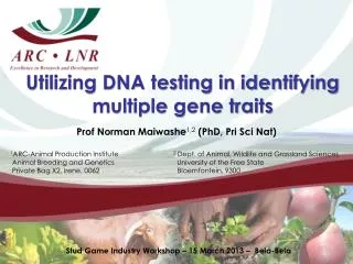 Utilizing DNA testing in identifying multiple gene traits