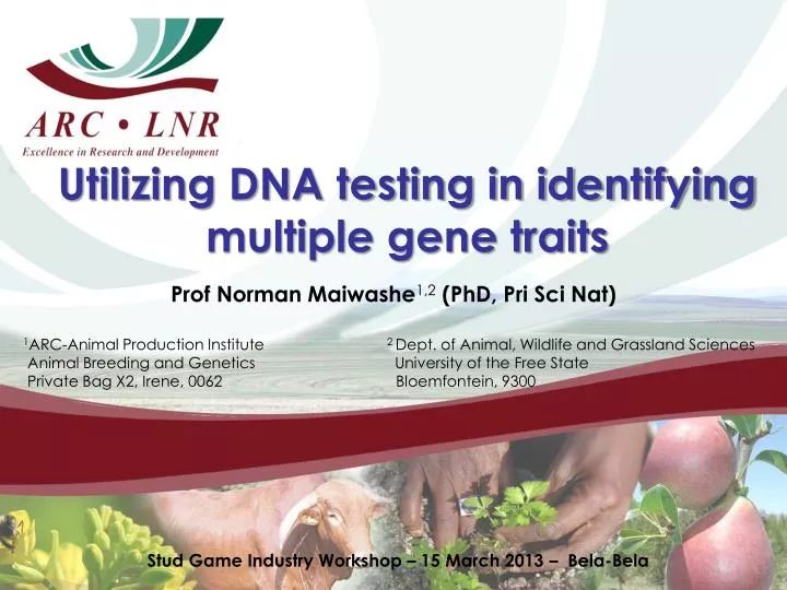 utilizing dna testing in identifying multiple gene traits