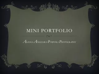 mini portfolio