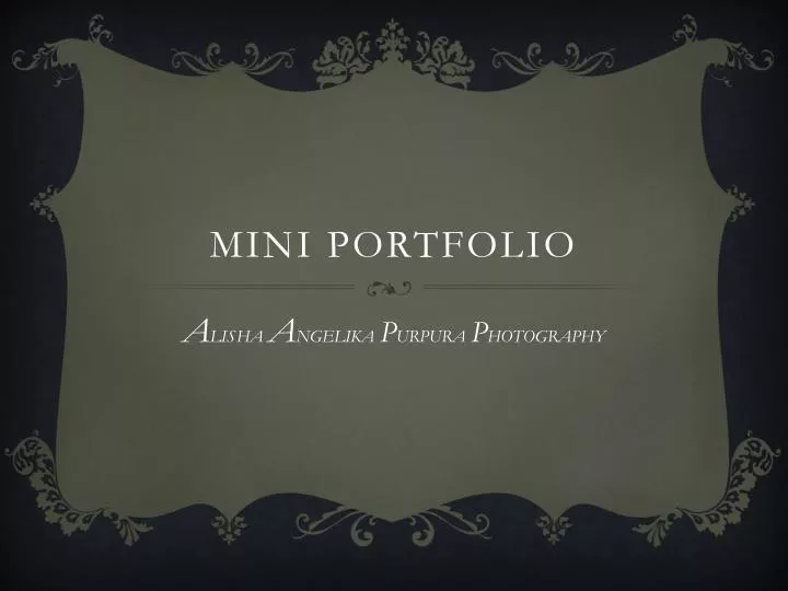 mini portfolio