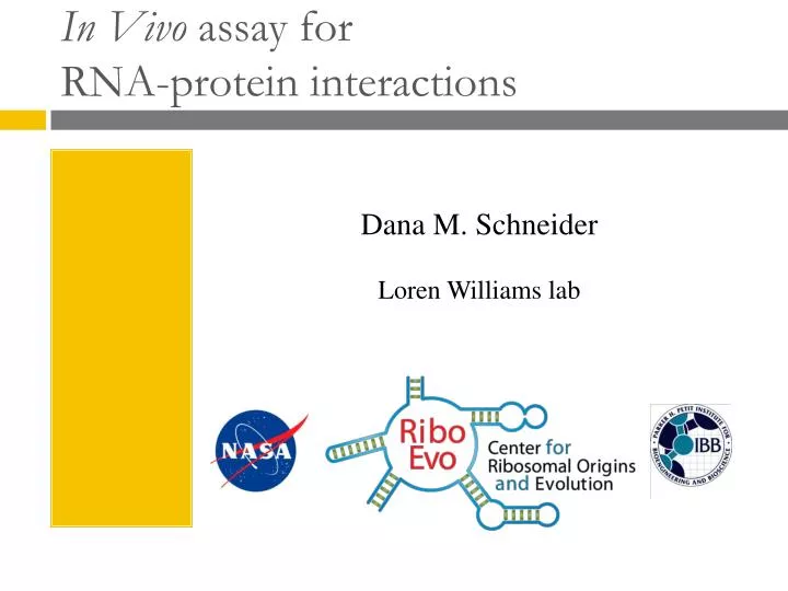 in vivo assay for rna protein interactions
