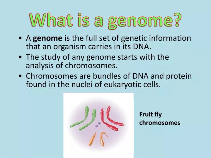 what is a genome