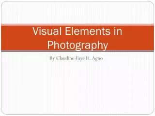 Visual Elements in Photography