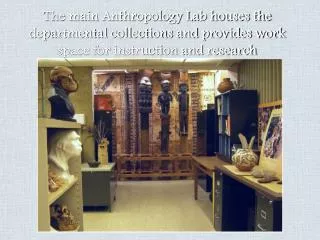 The main Anthropology Lab houses the departmental collections and provides work space for instruction and research