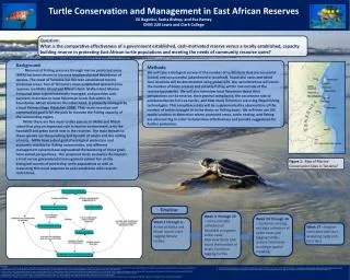 Turtle Conservation and Management in East African Reserves Eli Baginksi , Sasha Bishop, and Eva Ramey ENVS 220 Lewis a