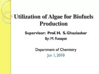 Utilization of Algae for Biofuels Production