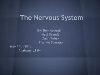 The Nervous System