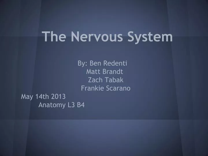 the nervous system