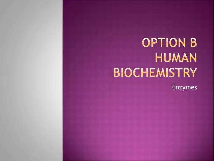 option b human biochemistry