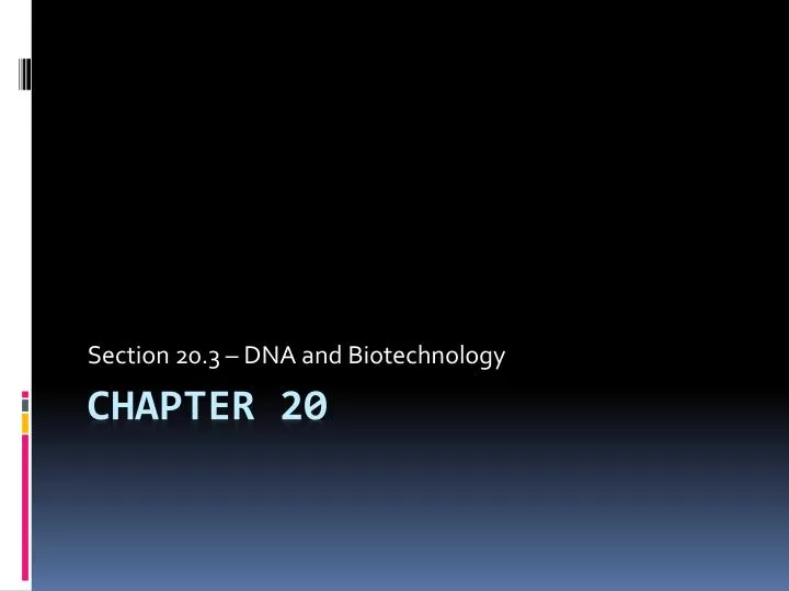 section 20 3 dna and biotechnology