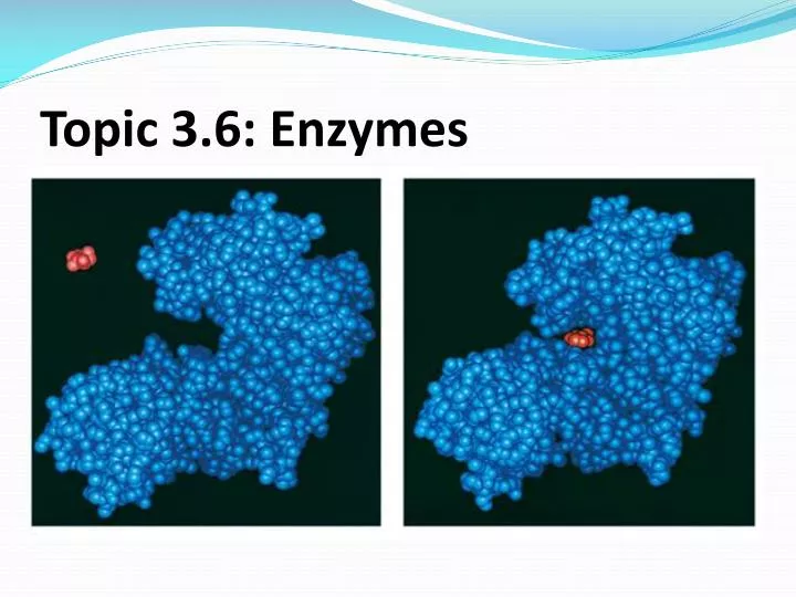 topic 3 6 enzymes