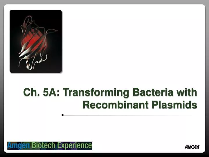 ch 5a transforming bacteria with recombinant plasmids