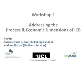 Workshop 1 Addressing the Process &amp; Economic Dimensions of ICB