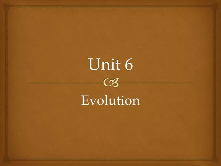 unit 6