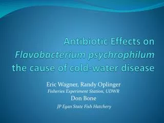 Antibiotic Effects on Flavobacterium psychrophilum the cause of cold-water disease