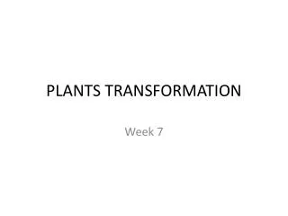 PLANTS TRANSFORMATION