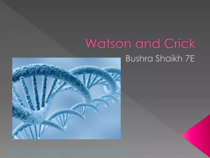 watson and crick