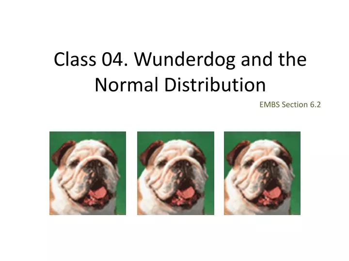 class 04 wunderdog and the normal distribution