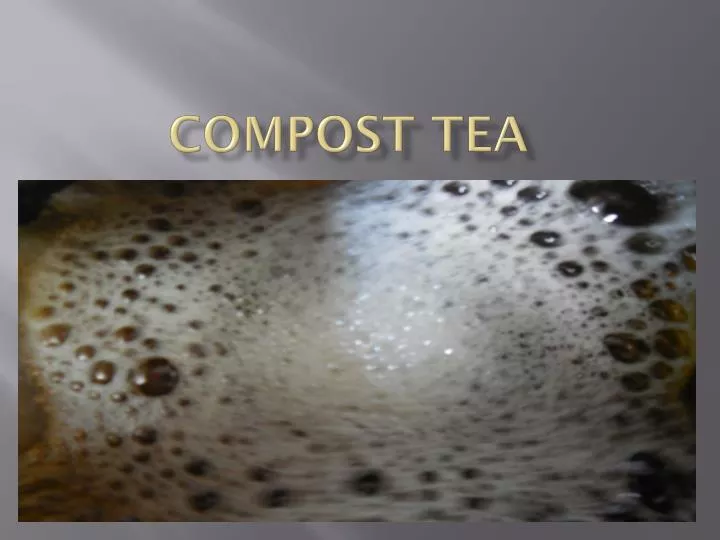 compost tea