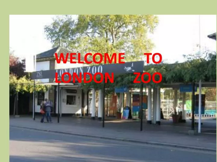 welcome to london zoo