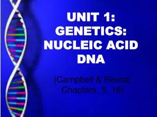 UNIT 1: GENETICS: NUCLEIC ACID DNA