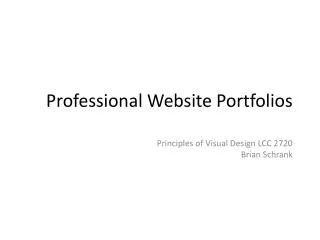 Professional Website Portfolios