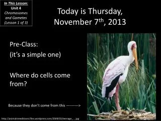 Today is Thursday, November 7 th , 2013