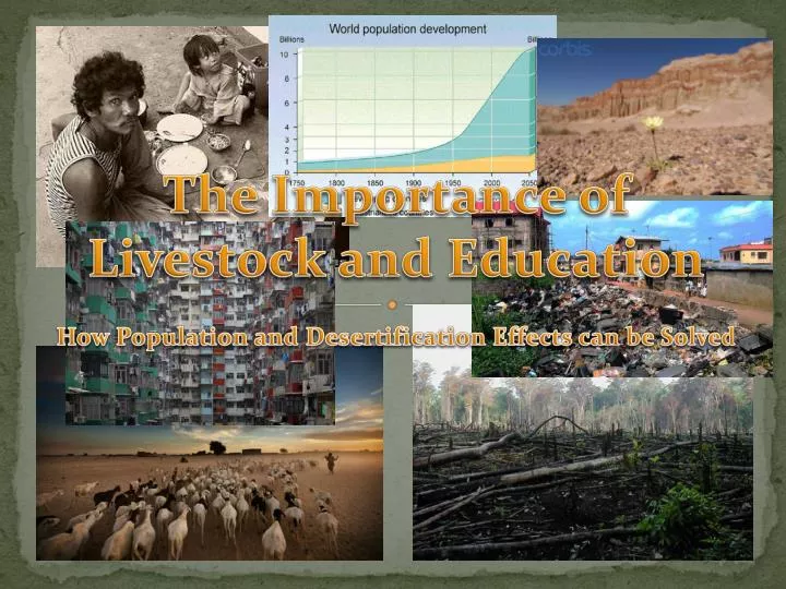 the importance of livestock and education