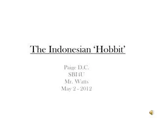 The Indonesian ‘Hobbit’
