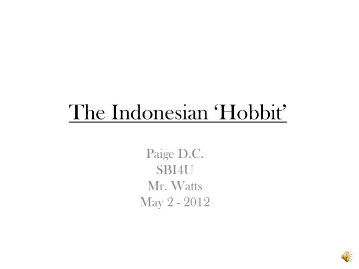 the indonesian hobbit