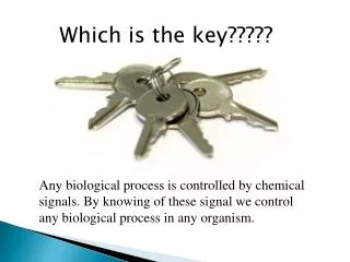 Which is the key?????